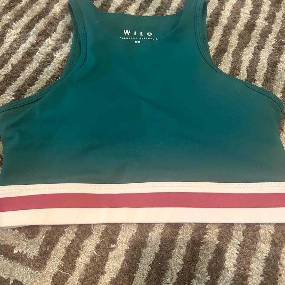 Wilo Teal and Pink Sports Bra